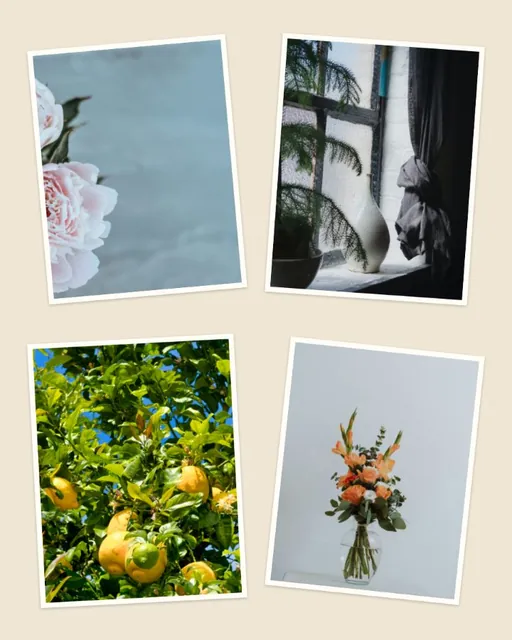 An aesthetic collage in scrapbook style: four photos with soft white frames on textured paper.
